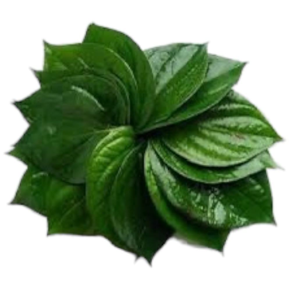 Vietnamesisches Pfefferblatt-La Lot 100g